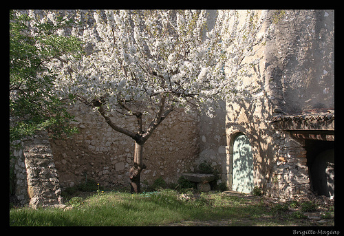 Le printemps 2010 est là ! par Brigitte Mazéas