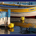 Reflets par Brigitte Mazéas - La Seyne sur Mer 83500 Var Provence France