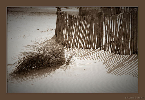 Ombres et sable par Brigitte Mazéas