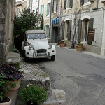 Deux chevaux à Saignon by Vital Nature - Saignon 84400 Vaucluse Provence France