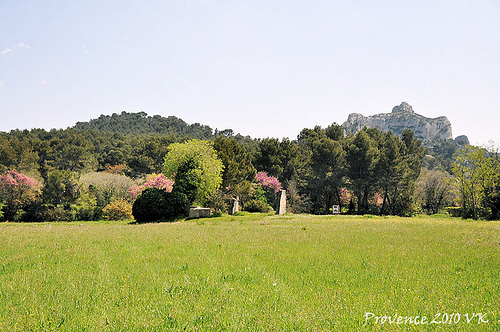 Paysage en vert by L_a_mer