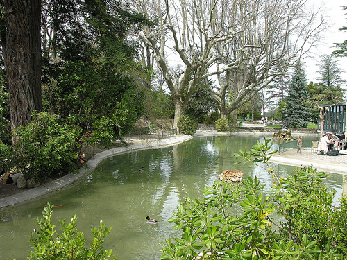 Avignon : le Jardin des Doms par Exmam