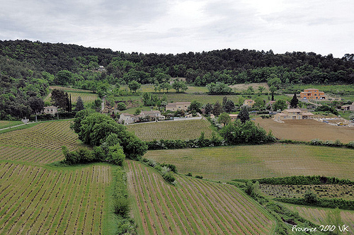 Vignes par L_a_mer