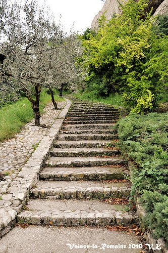 Escalier à verdure by L_a_mer