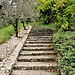 Escalier à verdure par L_a_mer - Vaison la Romaine 84110 Vaucluse Provence France