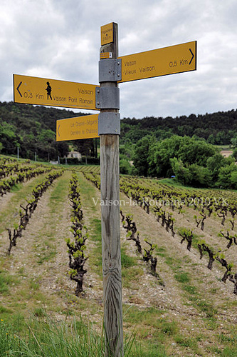 Randonnées autour de Vaison by L_a_mer