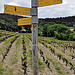 Randonnées autour de Vaison by L_a_mer - Vaison la Romaine 84110 Vaucluse Provence France