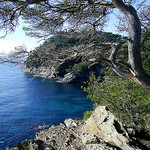 Côte d'Azur : Hyères les palmiers par JP-ZMR - Giens 83400 Var Provence France