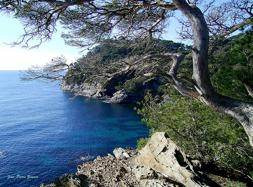 Côte d'Azur : Hyères les palmiers par JP-ZMR