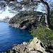 Côte d'Azur : Hyères les palmiers by JP-ZMR - Giens 83400 Var Provence France