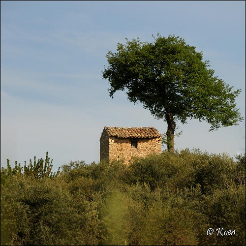 Le cabanon et l'arbre par koen_photos