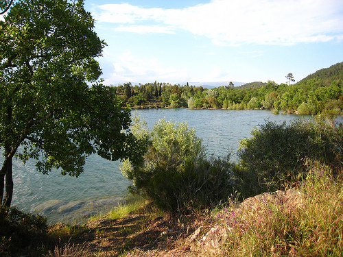 Cannes (05/2010) par monette77100