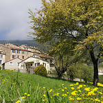 Le printemps à Seillans by ptit fauve - Seillans 83440 Var Provence France