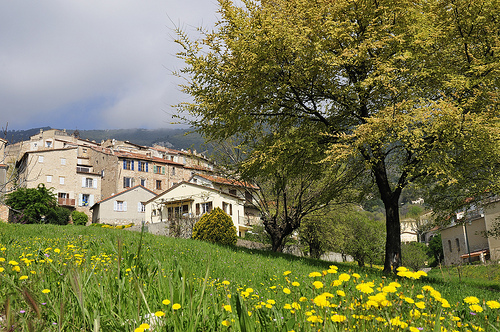 Le printemps à Seillans by ptit fauve