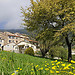 Le printemps à Seillans par ptit fauve - Seillans 83440 Var Provence France