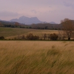 Paysage des Alpilles par Super.Apple - Aureille 13930 Bouches-du-Rhône Provence France