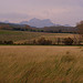 Paysage des Alpilles by Super.Apple - Aureille 13930 Bouches-du-Rhône Provence France