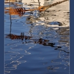 Reflets à Sanary by Brigitte Mazéas - Sanary-sur-Mer 83110 Var Provence France