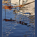 Reflets à Sanary par Brigitte Mazéas - Sanary-sur-Mer 83110 Var Provence France