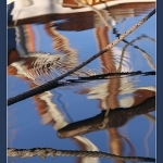 Reflets croisés par Brigitte Mazéas - Sanary-sur-Mer 83110 Var Provence France