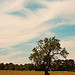 Ça ressemble à la Provence par bcommeberenice [APN out of order] - Calas 13480 Bouches-du-Rhône Provence France