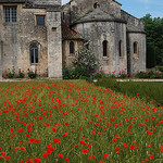 The Monastery of Saint Paul de Mausole by Marcxela - St. Rémy de Provence 13210 Bouches-du-Rhône Provence France