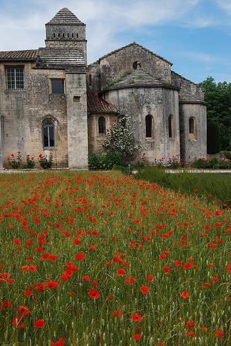 The Monastery of Saint Paul de Mausole by Marcxela