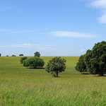 Paysage en Provence par mistinguette18 -   Vaucluse Provence France