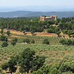 Oliviers et château par mistinguette18 - Tourtour 83690 Var Provence France