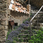 Escaliers à Tourtour par mistinguette18 - Tourtour 83690 Var Provence France