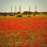 Rougeurs by bcommeberenice [APN out of order] - Calas 13480 Bouches-du-Rhône Provence France