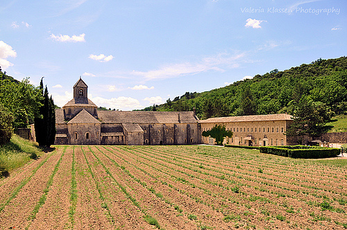 Abbaye de Sénanque by L_a_mer