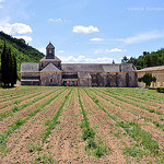 Abbaye de Sénanque par L_a_mer - Gordes 84220 Vaucluse Provence France