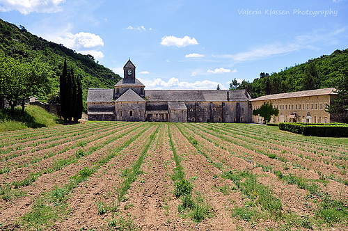 Abbaye de Sénanque by L_a_mer