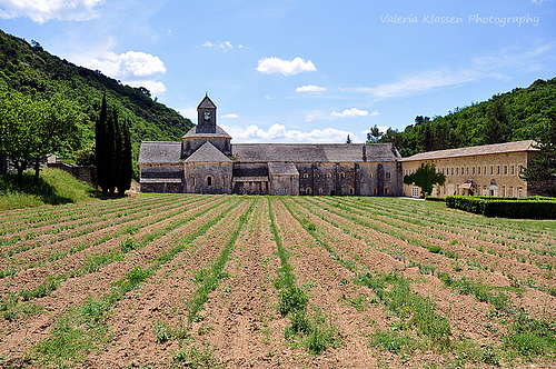 Abbaye de Sénanque par L_a_mer