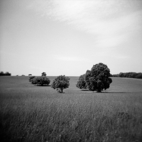 Paysage Noir et Blanc - Provence par mistinguette18