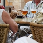 Terrasse : a day in Grasse par kintosha - Grasse 06130 Alpes-Maritimes Provence France