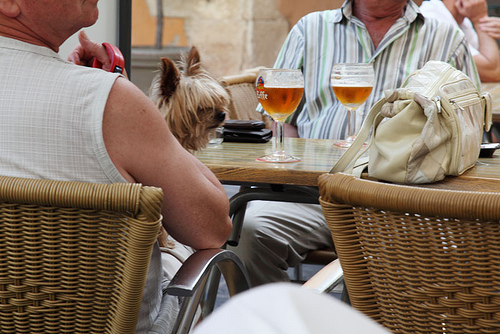 Terrasse : a day in Grasse by kintosha