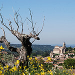 Bédoin, Provence par Marcxela - Bédoin 84410 Vaucluse Provence France