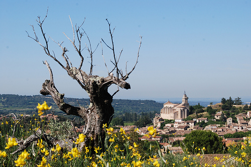 Bédoin, Provence par Marcxela