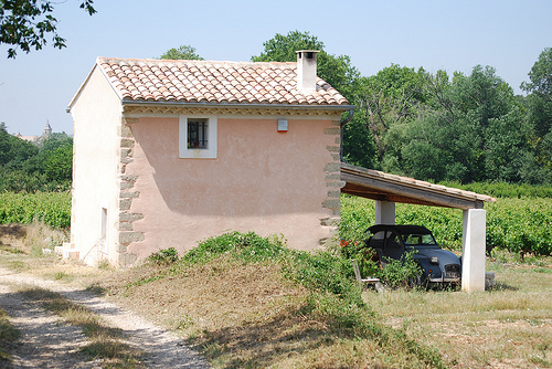 Hiding in the shade. Bédoin, Provence by Marcxela