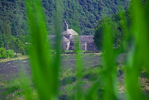 Abbaye de Sénanque encaissée dans son vallon  par GUGGIA