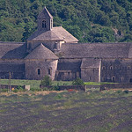 Abbaye de Sénanque en violet par GUGGIA - Gordes 84220 Vaucluse Provence France