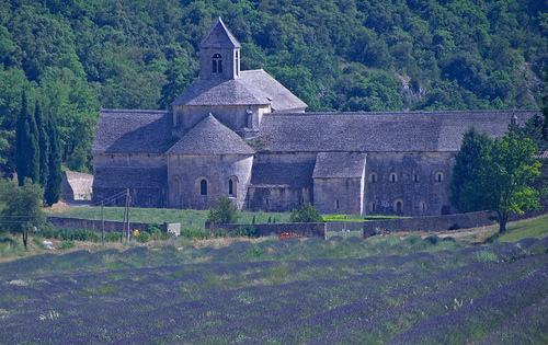 Abbaye de Sénanque en violet by GUGGIA