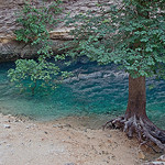 Sorgue par GUGGIA - Fontaine de Vaucluse 84800 Vaucluse Provence France