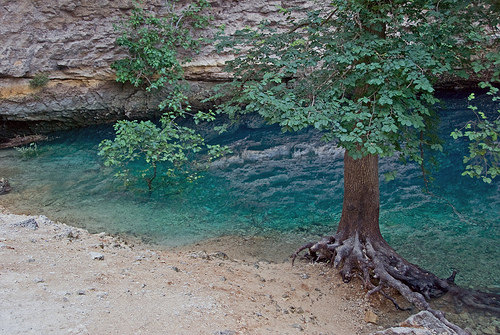 Sorgue par GUGGIA