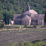 Abbaye de Sénanque par GUGGIA - Gordes 84220 Vaucluse Provence France