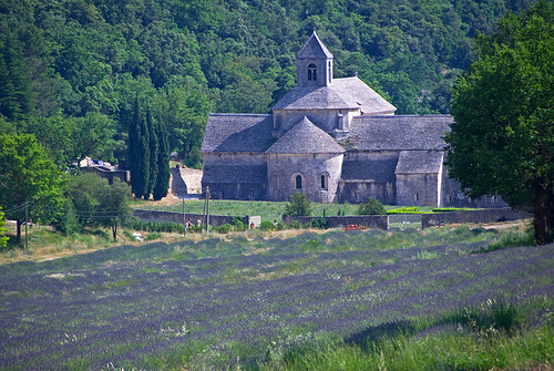 Abbaye de Sénanque par GUGGIA