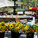 Uzes Market : Sunflowers by photoartbygretchen - Uzès 30700 Gard Provence France