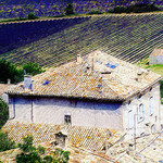 Tuiles et lavandes par photoartbygretchen -   Bouches-du-Rhône Provence France